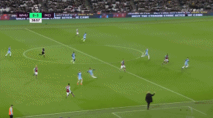 安娜-德-阿玛斯现身F1阿布扎比站挥旗